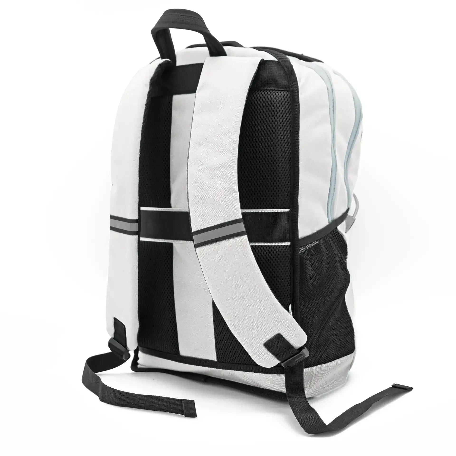 Polar Protector Back
